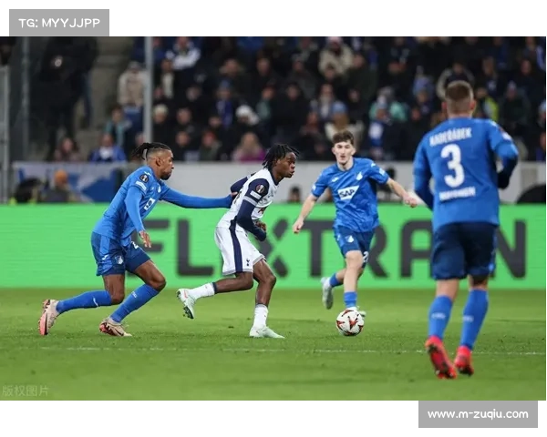 从保级到欧战:霍芬海姆半程黑马之路全回顾 从保级到欧战:霍芬海姆半程黑马之路全回顾