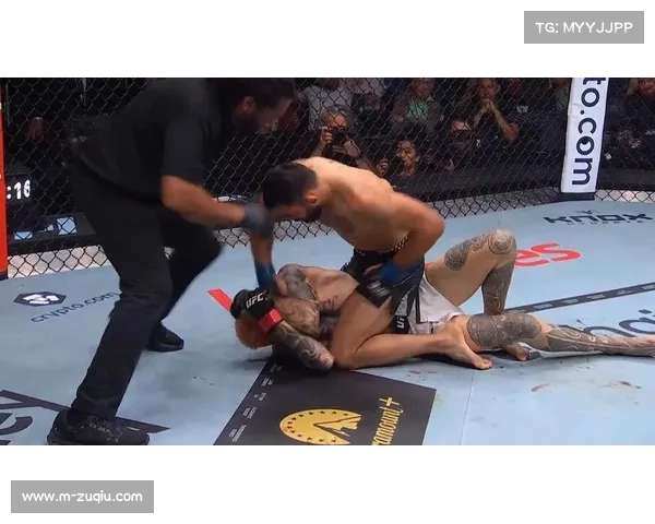 伯努瓦·圣但尼第二回合TKO胜丹·霍克,获得UFC 325终结奖金2.5万美元 伯努瓦·圣但尼第二回合TKO胜丹·霍克,获得UFC 325终结奖金2.5万美元